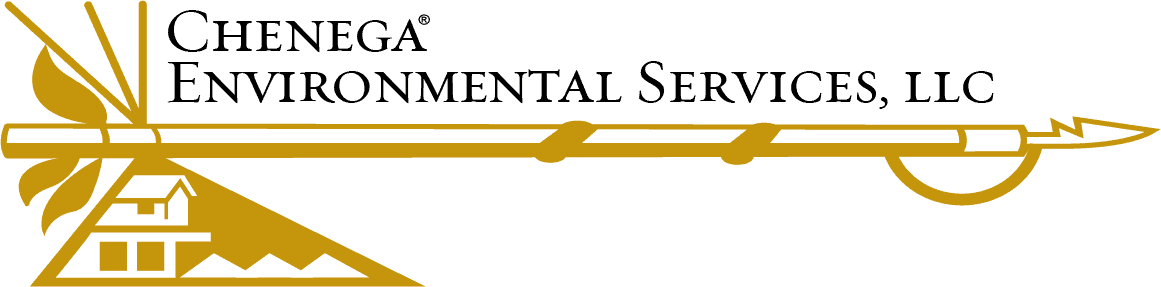 ces logo ces logo